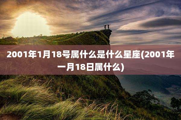 2001年1月18号属什么是什么星座(2001年一月18日属什么)