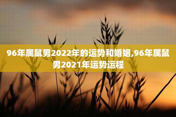 96年属鼠男2022年的运势和婚姻,96年属鼠男2021年运势运程