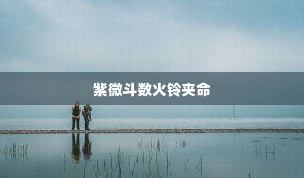 紫微斗数火铃夹命