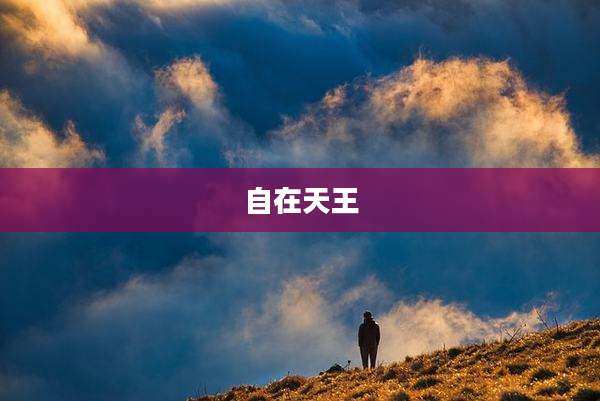 自在天王