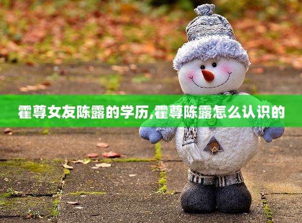 霍尊女友陈露的学历,霍尊陈露怎么认识的