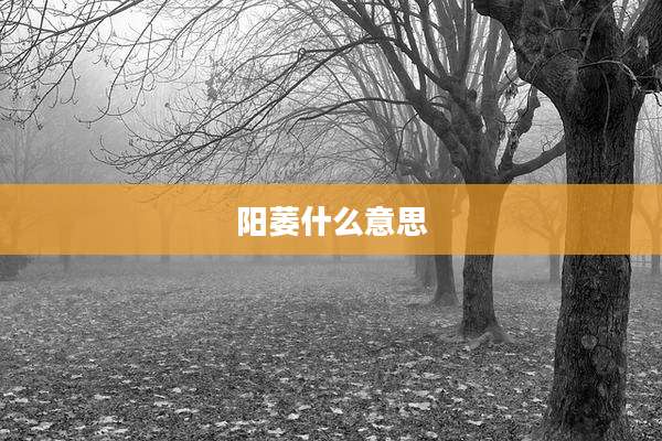 阳萎什么意思