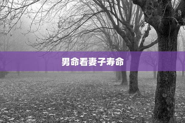 男命看妻子寿命