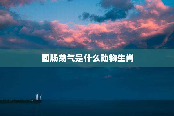 回肠荡气是什么动物生肖