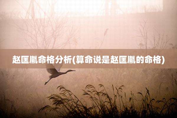 赵匡胤命格分析(算命说是赵匡胤的命格)