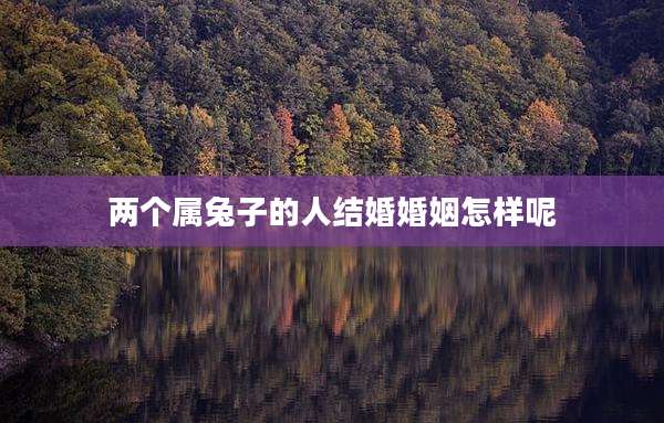 两个属兔子的人结婚婚姻怎样呢