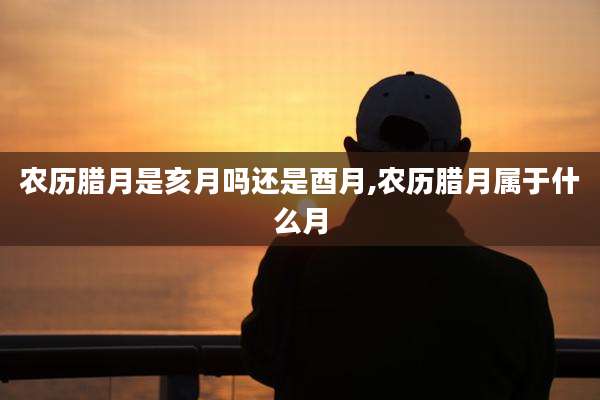农历腊月是亥月吗还是酉月,农历腊月属于什么月