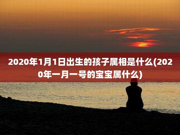 2020年1月1日出生的孩子属相是什么(2020年一月一号的宝宝属什么)