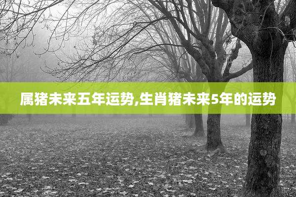 属猪未来五年运势,生肖猪未来5年的运势