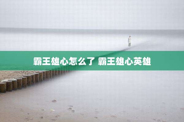 霸王雄心怎么了 霸王雄心英雄