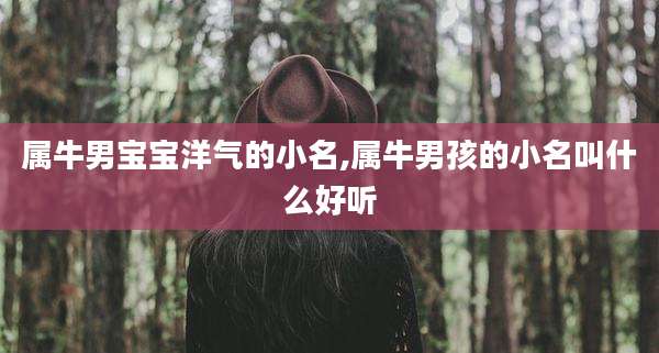属牛男宝宝洋气的小名,属牛男孩的小名叫什么好听