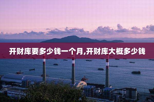 开财库要多少钱一个月,开财库大概多少钱
