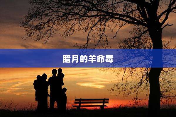 腊月的羊命毒