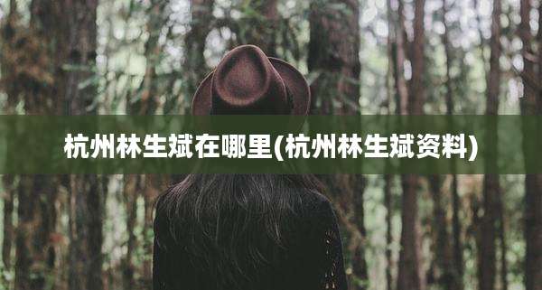 杭州林生斌在哪里(杭州林生斌资料)