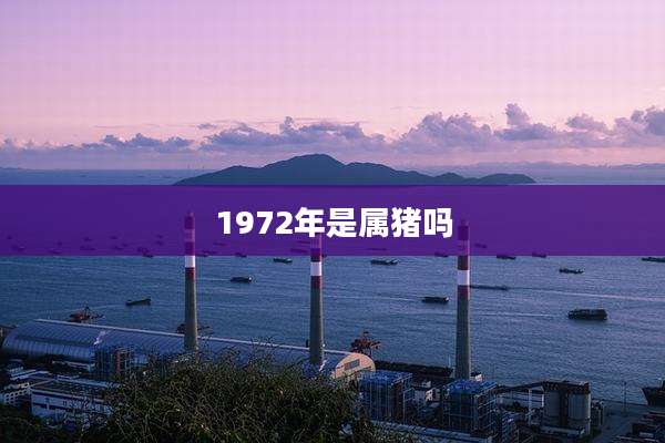 1972年是属猪吗