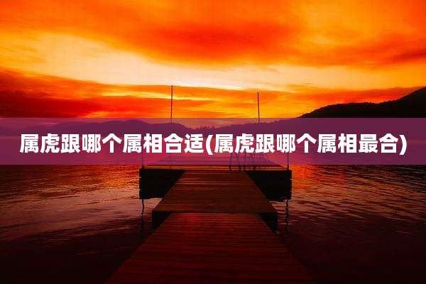 属虎跟哪个属相合适(属虎跟哪个属相最合)