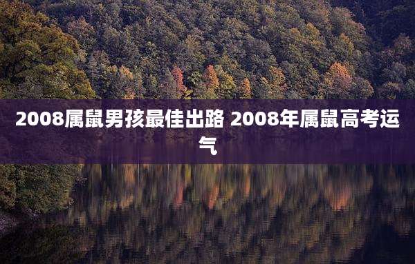 2008属鼠男孩最佳出路 2008年属鼠高考运气