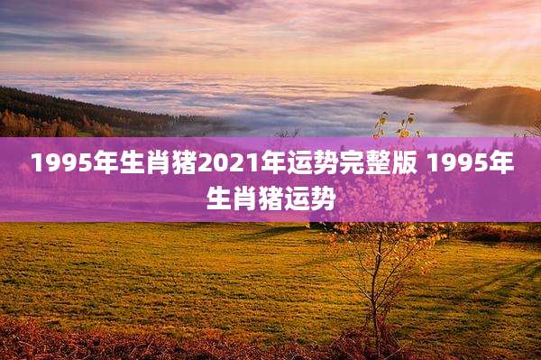 1995年生肖猪2021年运势完整版 1995年生肖猪运势