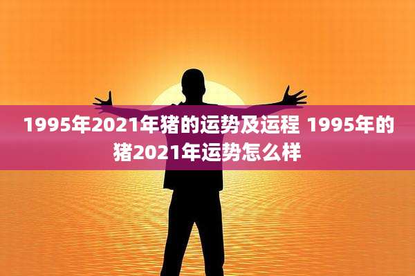 1995年2021年猪的运势及运程 1995年的猪2021年运势怎么样
