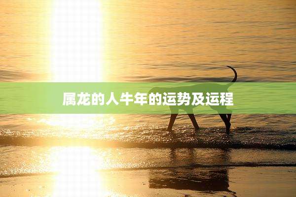 属龙的人牛年的运势及运程