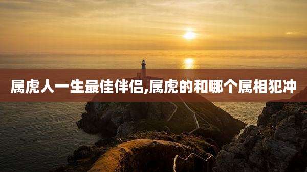 属虎人一生最佳伴侣,属虎的和哪个属相犯冲
