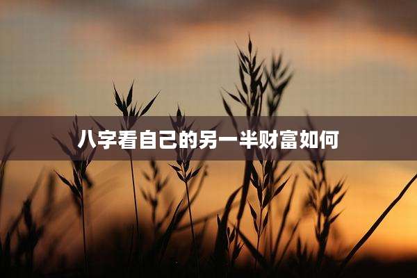 八字看自己的另一半财富如何