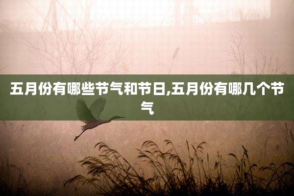 五月份有哪些节气和节日,五月份有哪几个节气