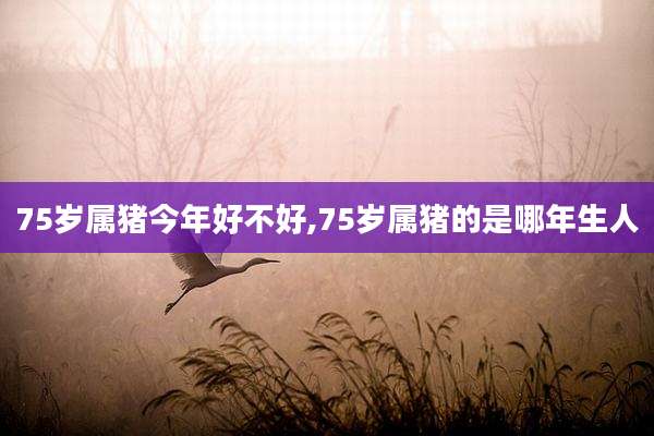 75岁属猪今年好不好,75岁属猪的是哪年生人