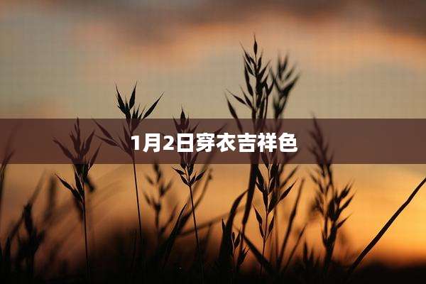 1月2日穿衣吉祥色