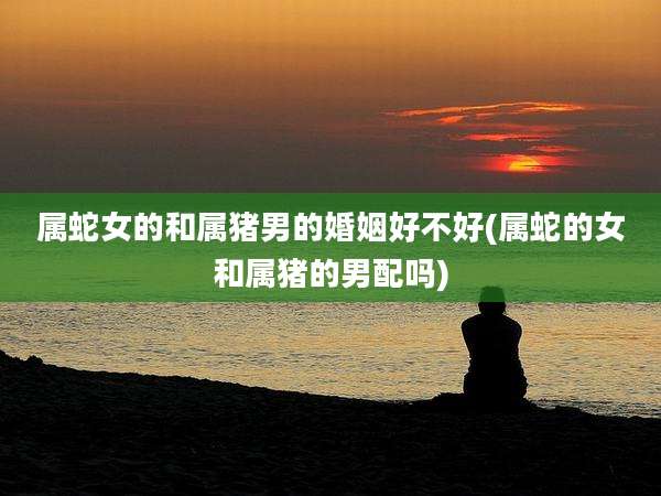 属蛇女的和属猪男的婚姻好不好(属蛇的女和属猪的男配吗)