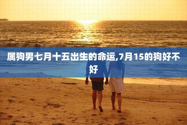 属狗男七月十五出生的命运,7月15的狗好不好
