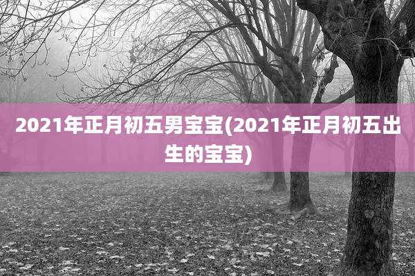 2021年正月初五男宝宝(2021年正月初五出生的宝宝)