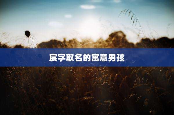 宸字取名的寓意男孩