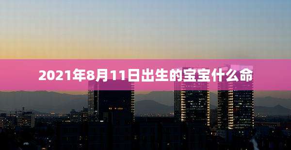 2021年8月11日出生的宝宝什么命