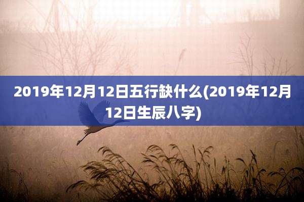 2019年12月12日五行缺什么(2019年12月12日生辰八字)