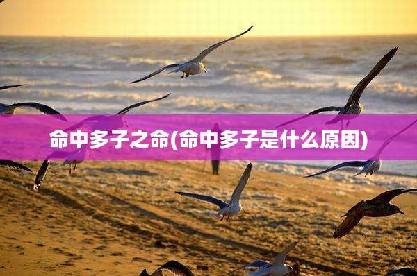 命中多子之命(命中多子是什么原因)