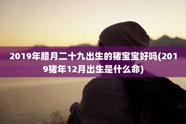 2019年腊月二十九出生的猪宝宝好吗(2019猪年12月出生是什么命)