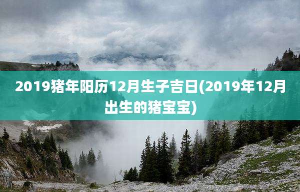 2019猪年阳历12月生子吉日(2019年12月出生的猪宝宝)