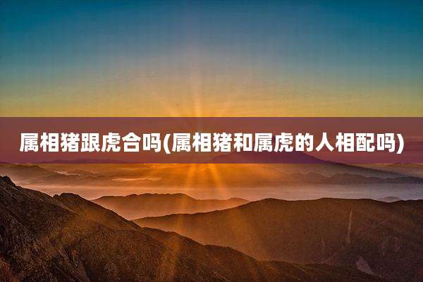 属相猪跟虎合吗(属相猪和属虎的人相配吗)