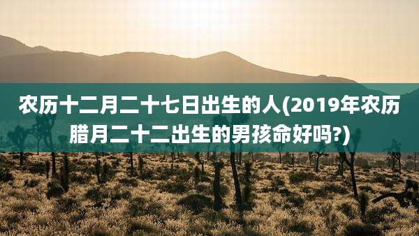 农历十二月二十七日出生的人(2019年农历腊月二十二出生的男孩命好吗?)