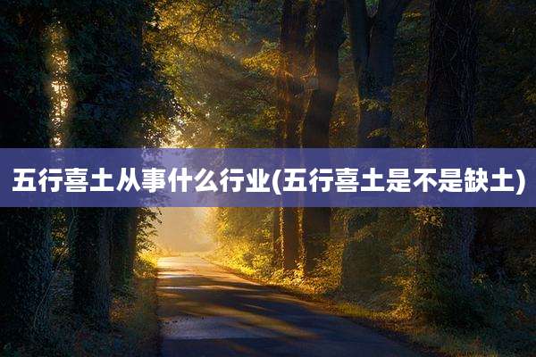 五行喜土从事什么行业(五行喜土是不是缺土)