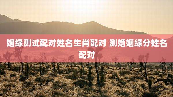 姻缘测试配对姓名生肖配对 测婚姻缘分姓名配对