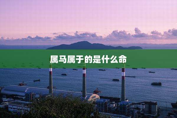 属马属于的是什么命