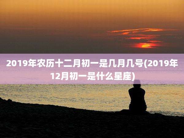 2019年农历十二月初一是几月几号(2019年12月初一是什么星座)