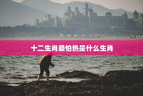十二生肖最怕热是什么生肖