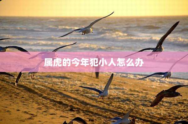 属虎的今年犯小人怎么办