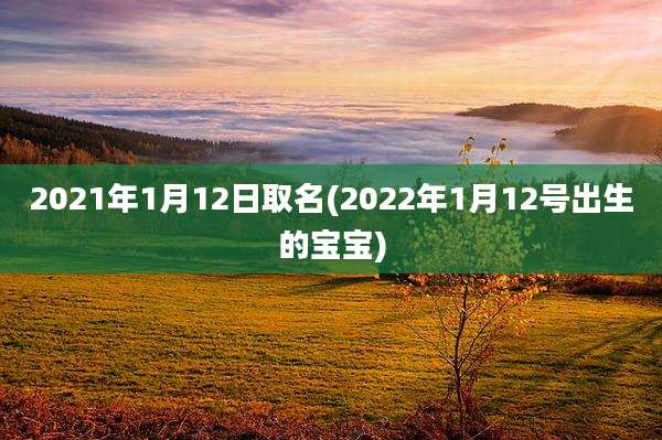2021年1月12日取名(2022年1月12号出生的宝宝)