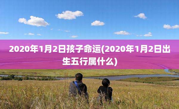 2020年1月2日孩子命运(2020年1月2日出生五行属什么)