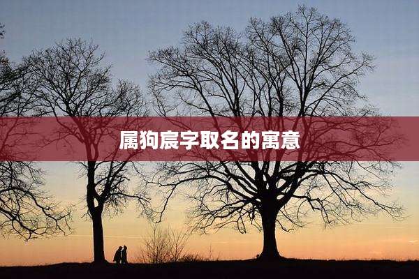 属狗宸字取名的寓意