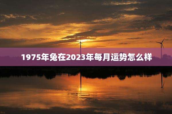 1975年兔在2023年每月运势怎么样